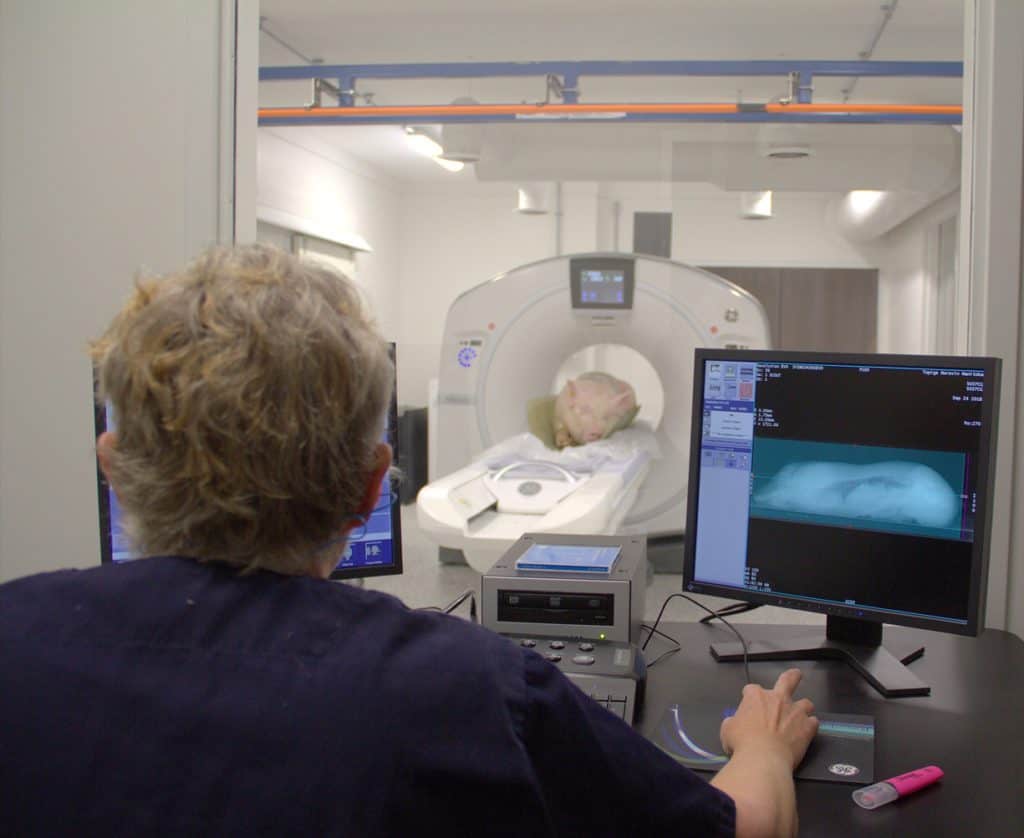 Primeiros varrascos escaneados mediante tomografía computerizada (TC)