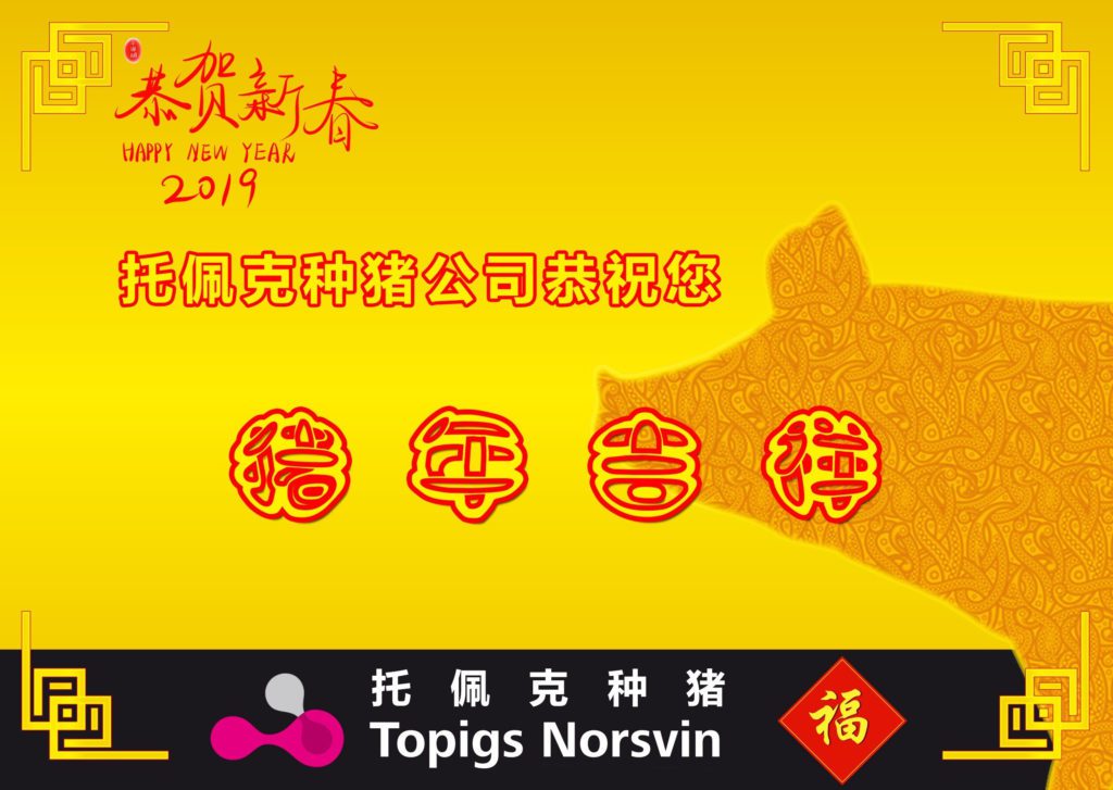 Topigs Norsvin quer desejar lhe boa fortuna para este ano chinês