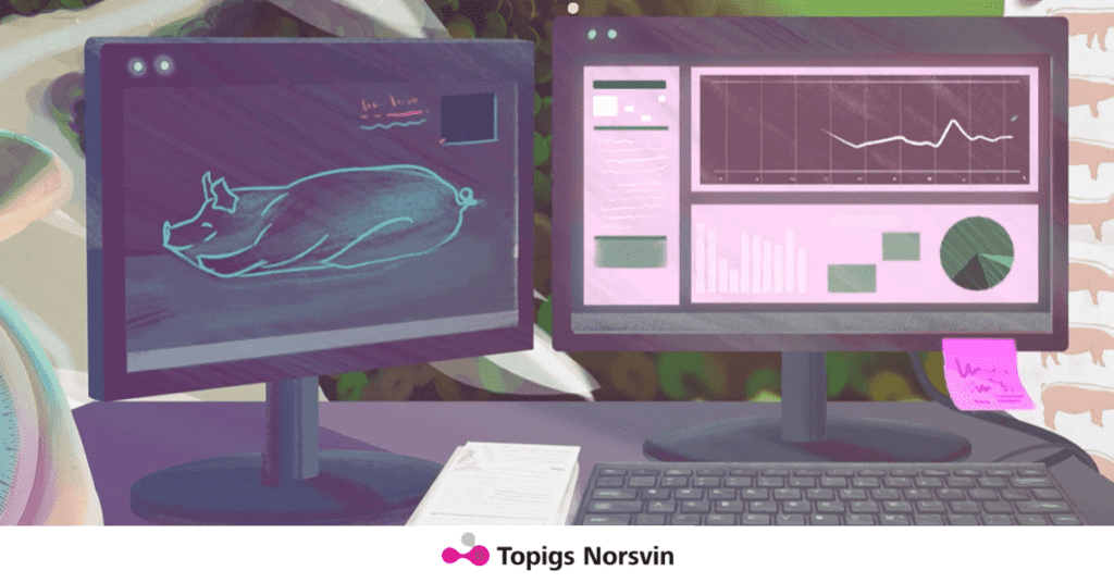 Topigs Norsvin lança uma nova plataforma de partilha de dados